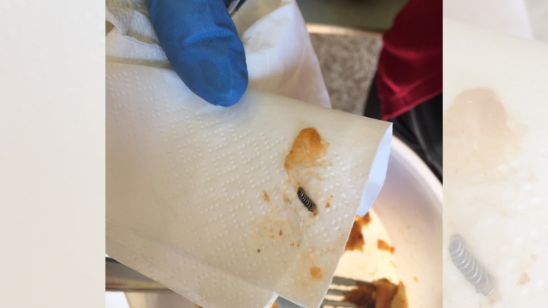 Molla nelle lasagne alla scuola elementare: “Fatto gravissimo”