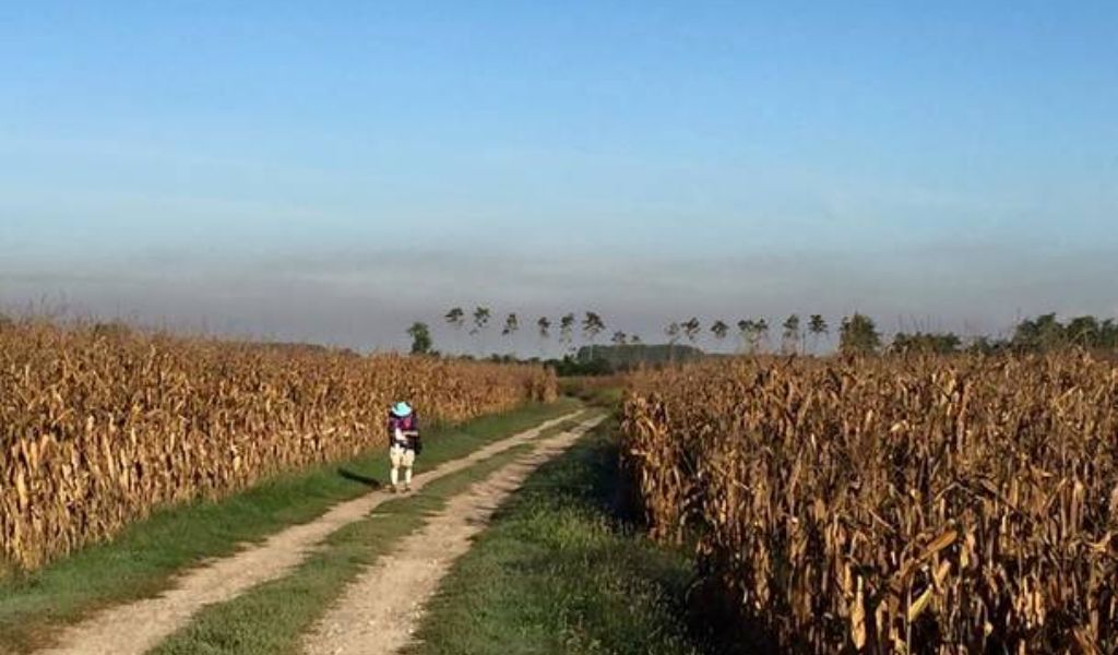 Ragazza molestata sulla via Francigena: si cala i pantaloni e le mostra le parti intime