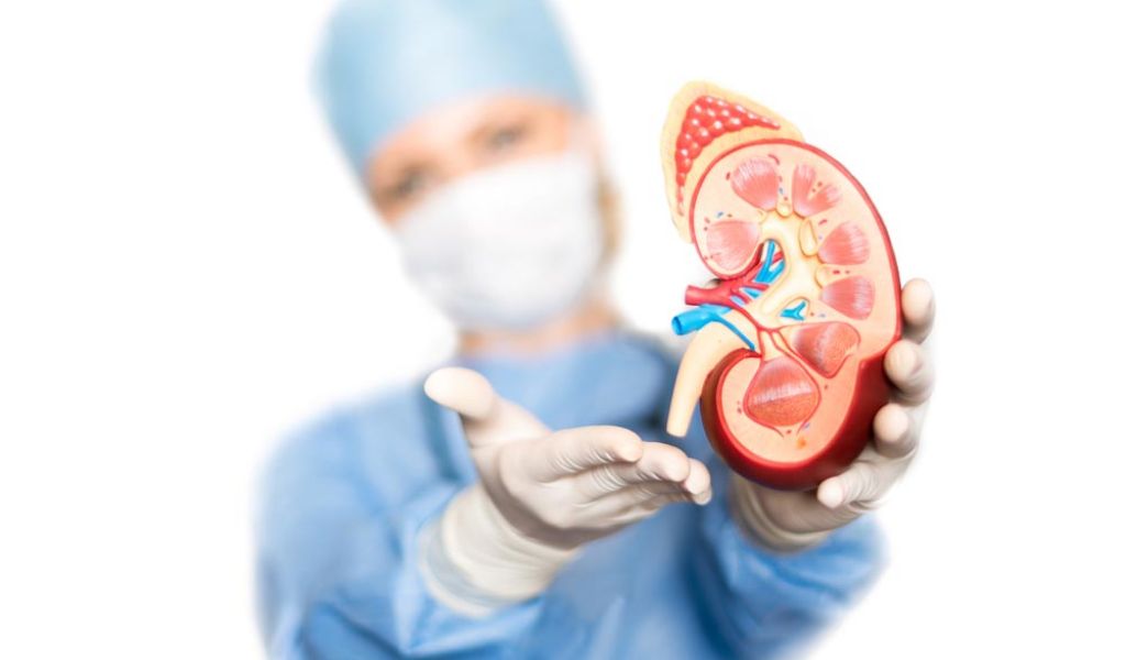 Il trapianto del rene dono sconosciuto: il racconto di chi ha ricevuto e di chi ha donato 