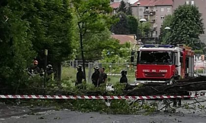 Vento forte, cade albero sulla Vigentina: traffico bloccato per ore