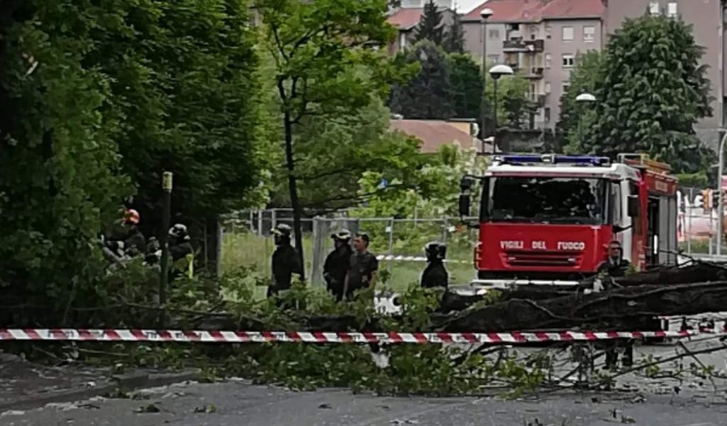 Vento forte, cade albero sulla Vigentina: traffico bloccato per ore