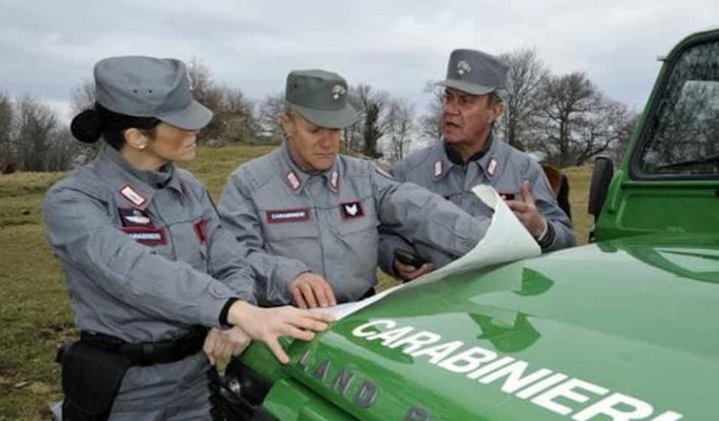 Da oltre 40 anni coltivano abusivamente aree demaniali lungo il Po, cinque denunciati