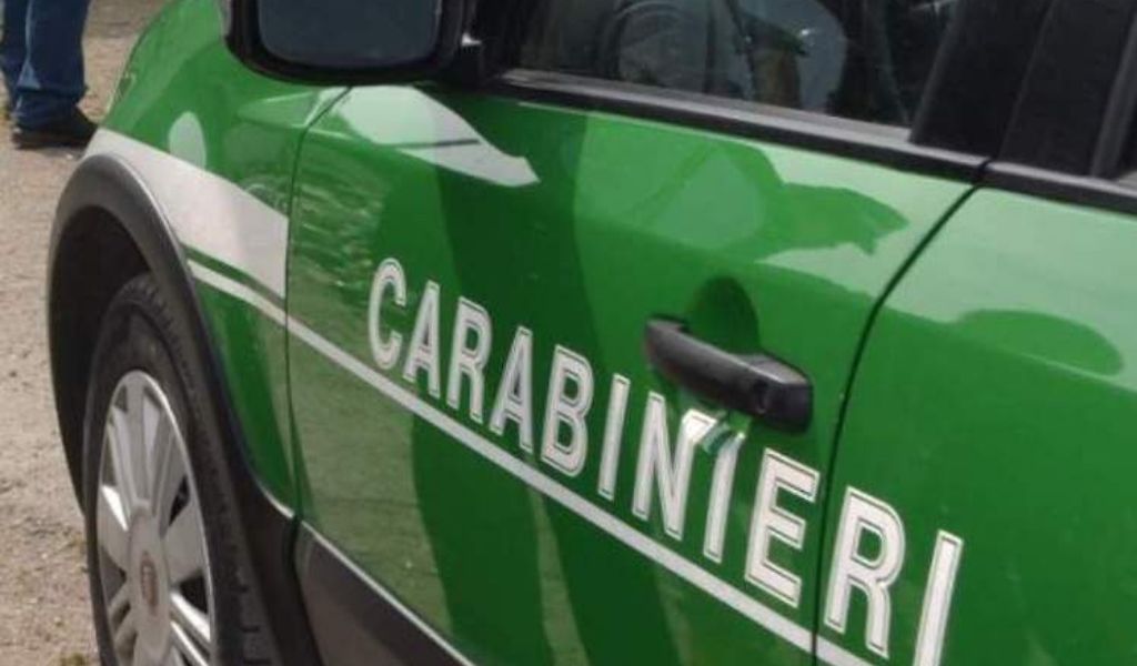 22 cavalli in pessime condizioni: malnutriti e tra gli escrementi