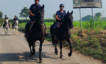 Carabinieri a cavallo controllano le aree rurali e impervie del Pavese