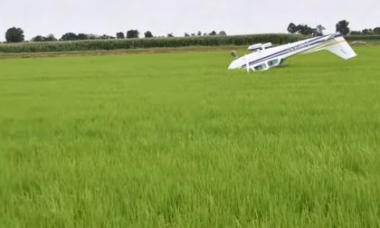 Atterraggio d'emergenza per un aereo Cessna in una risaia