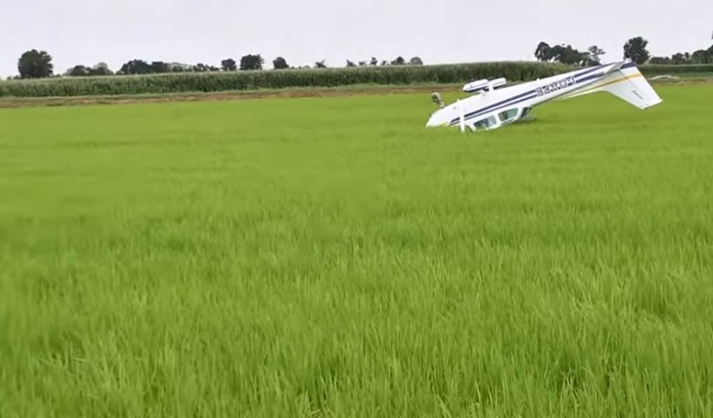 Atterraggio d’emergenza per un aereo Cessna in una risaia