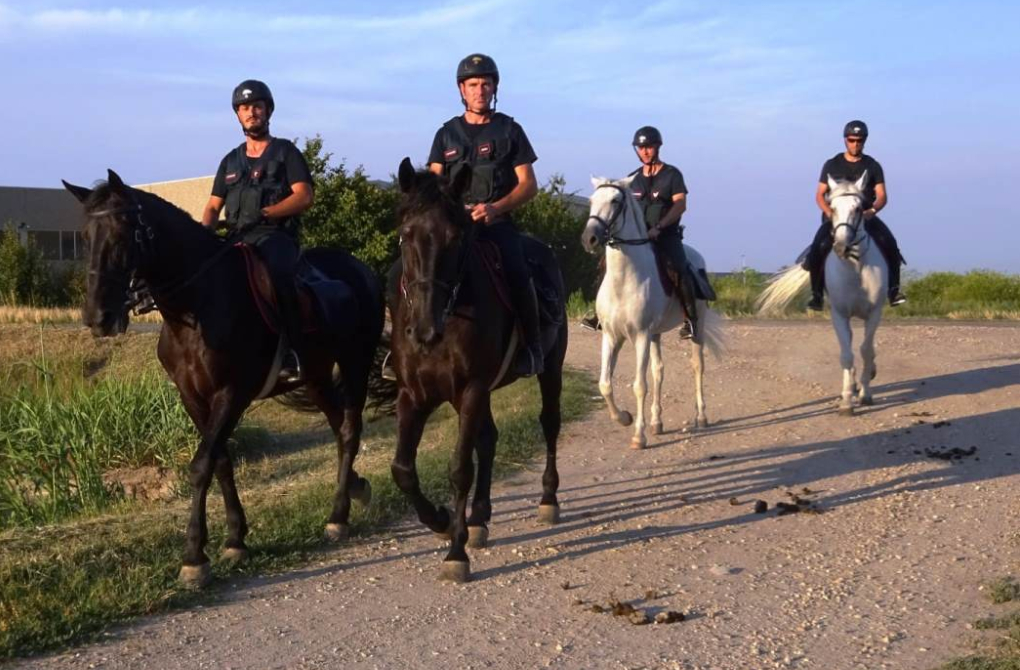 Spaccio nei campi: a Gropello Cairoli arrivano i carabinieri a cavallo