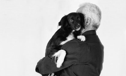 È ufficiale: cure veterinarie gratuite per gli animali d’affezione di proprietà degli anziani