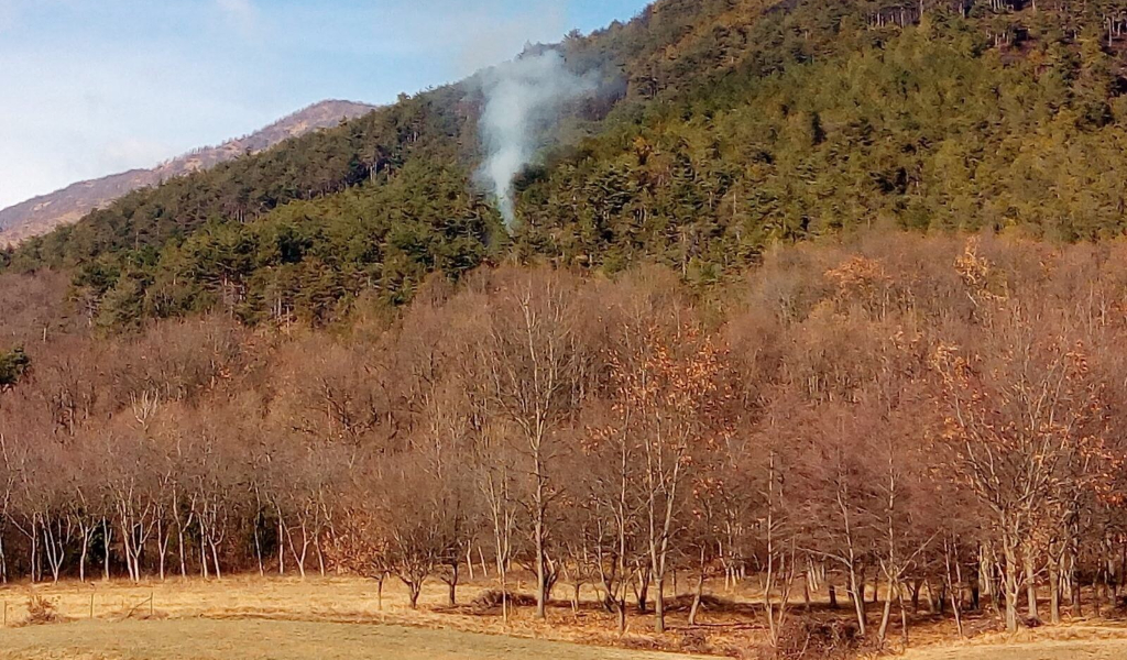 Dodici principi di incendio sulla riva del Po, è caccia al piromane
