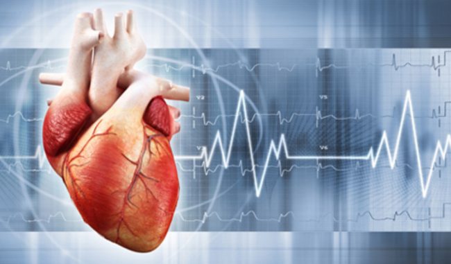 Il San Matteo di Pavia capofila della più grande rete europea sull’arresto cardiaco