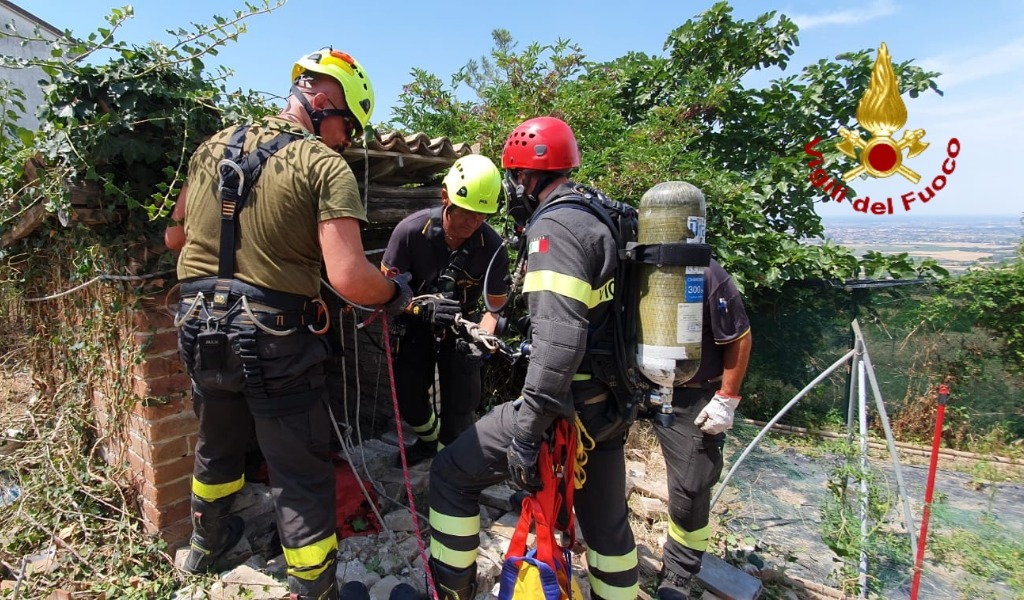 Due pecore e una capra cadute in un pozzo recuperate dai VVF di Pavia FOTO