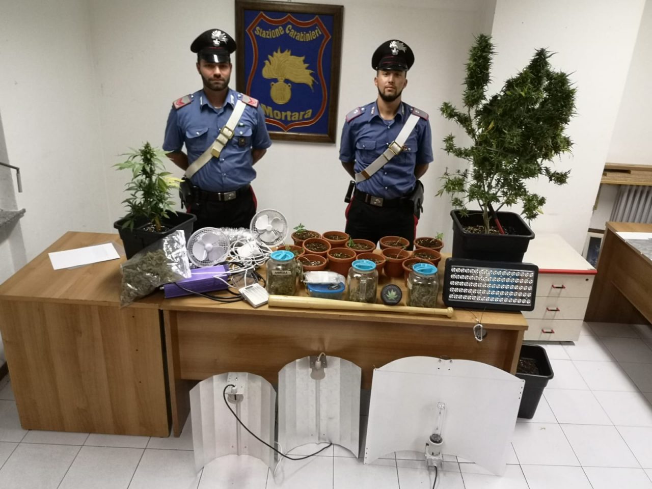 Coltivano marijuana nel ripostiglio di casa, denunciati marito e moglie