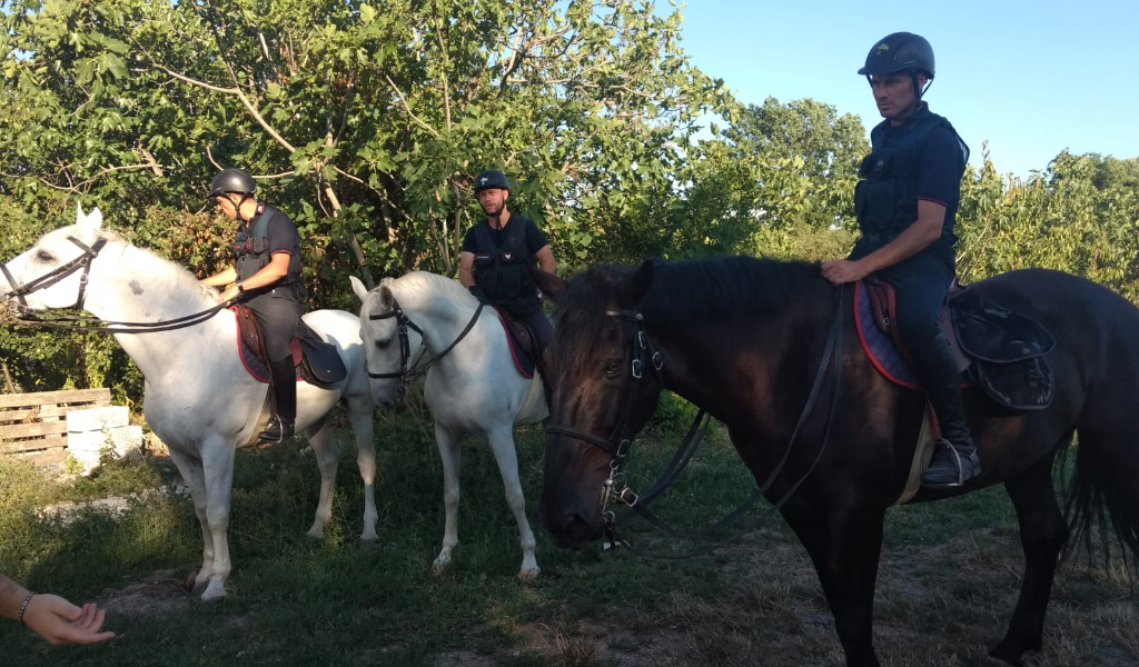 Potenziato il controllo nell’area Vogherese: un arresto e una denuncia