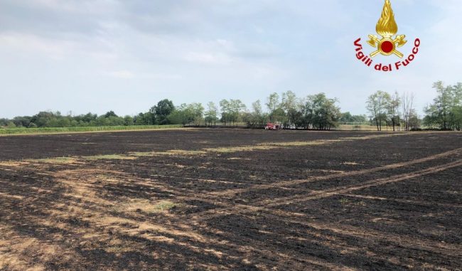Prendono fuoco sterpaglie: 9 ettari di terreno carbonizzati