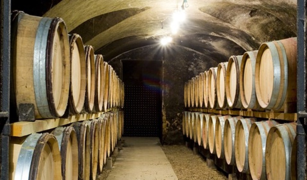 Per la cantina Terre d’Oltrepò sta per partire la vendemmia della svolta