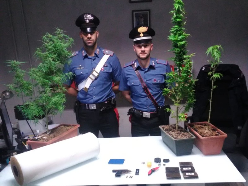 Trovati Con Mezzo Chilo Di Hashish, Piante Di Marijuana E Una Pistola ...