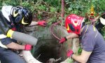 Cane cade in un pozzo profondo 15 metri: salvato dai Vigili del Fuoco FOTO