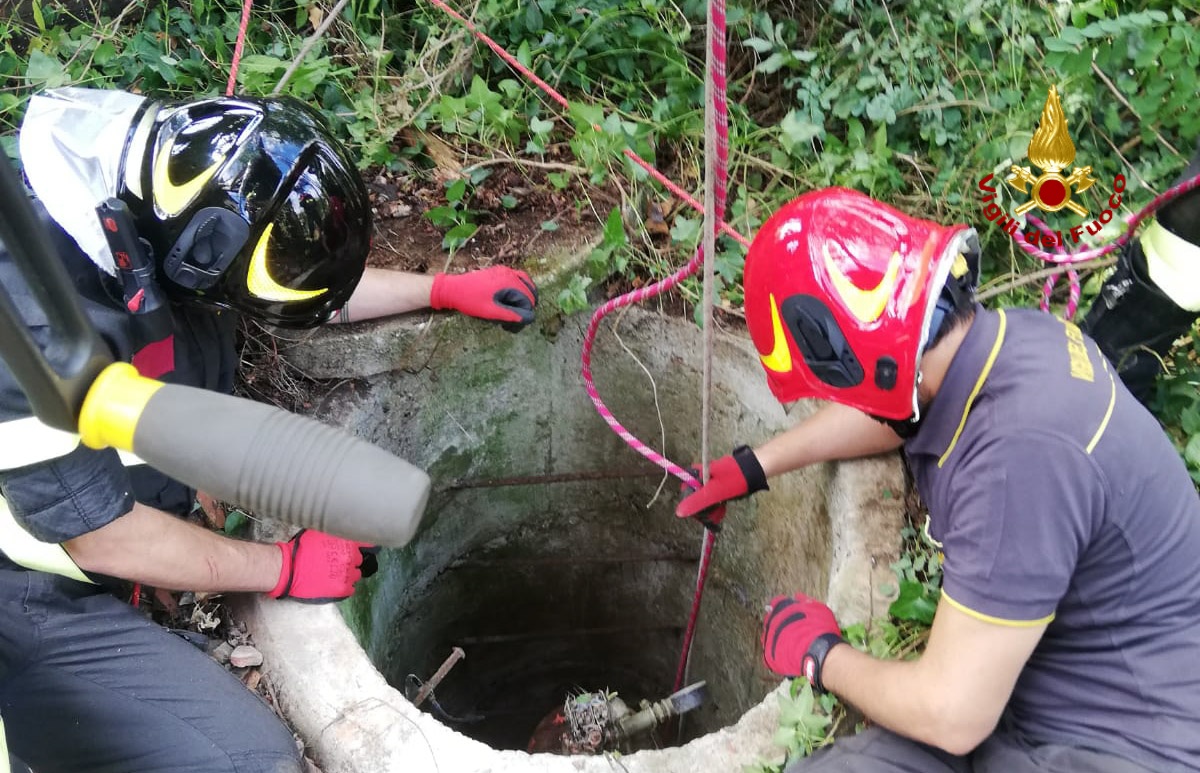 Cane cade in un pozzo profondo 15 metri: salvato dai Vigili del Fuoco FOTO