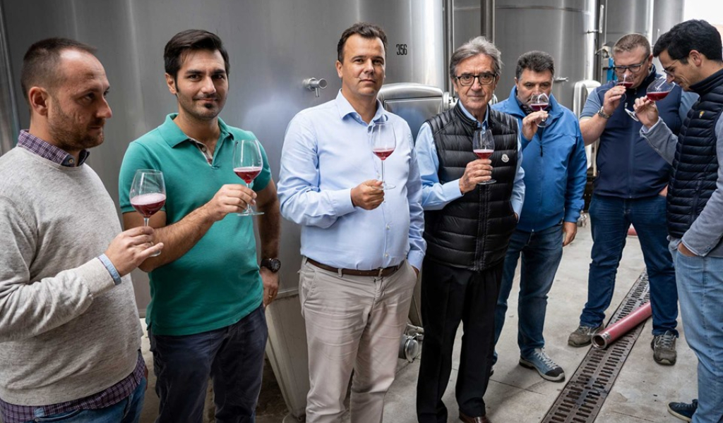Terre d’Oltrepò: chiusa la vendemmia del Pinot, ora si passa alle rosse