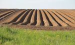 Se le aree agricole si trasformano in parchi naturali a rimetterci sono gli agricoltori