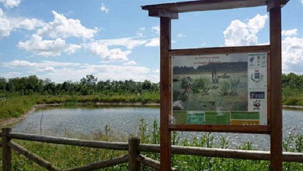 Scherzo su Facebook: “Il bosco brucia”, il sindaco fa scattare la denuncia