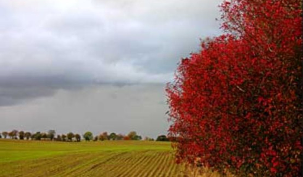 Tempo variabile nel weekend PREVISIONI METEO