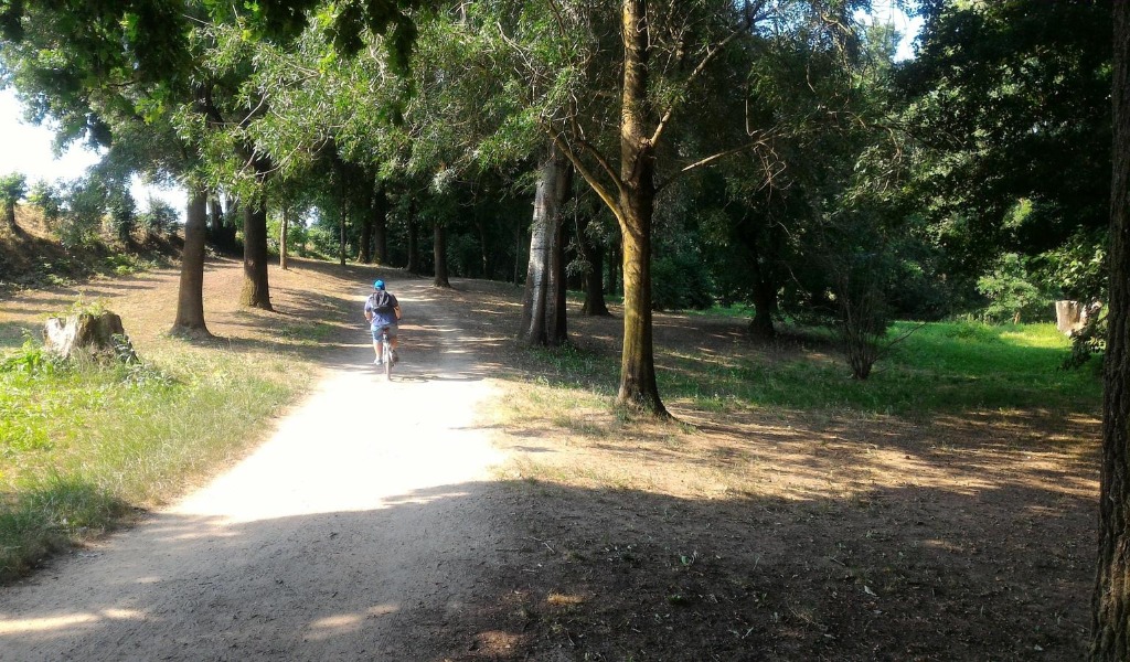 Maniaco al parco della Vernavola si masturba in macchina: ragazza chiama la Polizia
