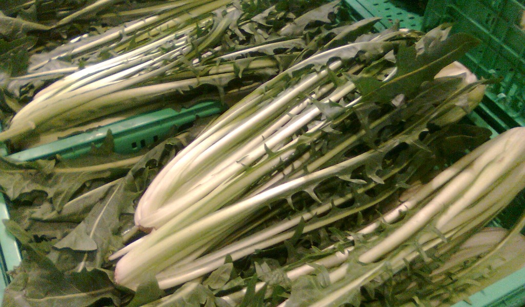 Pavia, cicoria comprata al mercato contiene tracce di piante velenose: coniugi intossicati