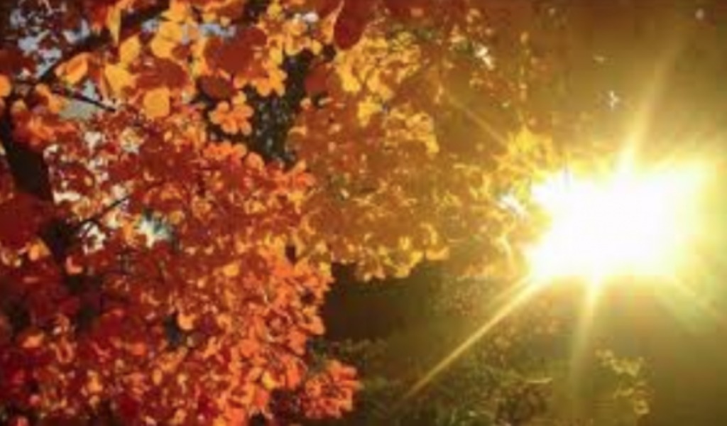 Novembre si chiude con il sole. Domenica ancora piogge PREVISIONI METEO