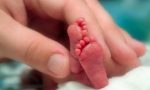 "Apnea per la prematurità", staffetta di beneficenza per i bimbi prematuri del San Matteo
