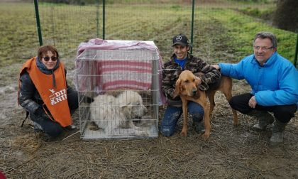 Il cane Barnaba è stato recuperato: ora lo aspetta una nuova famiglia