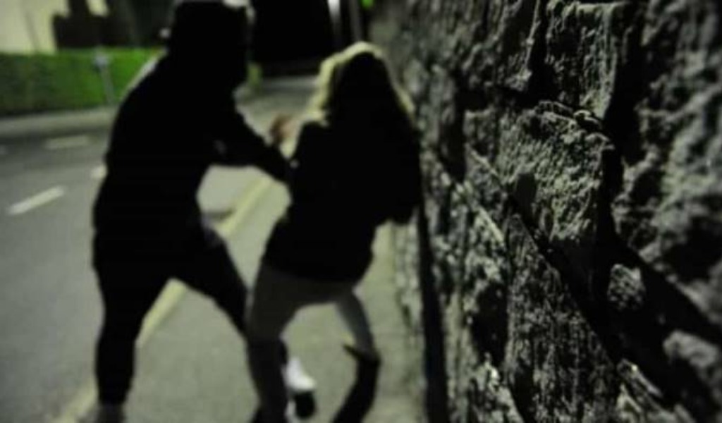 Rissa a Vigevano, una donna interviene per sedarla e viene presa a calci e sberle