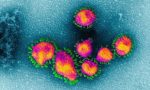 Coronavirus, nella notte in Lombardia i contagi sono saliti a 206