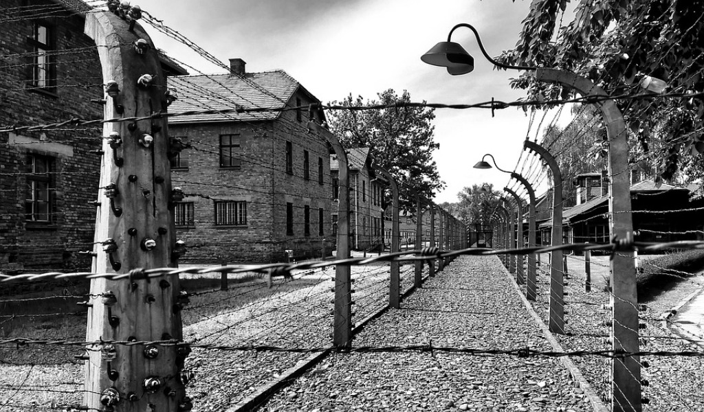 Giornata della Memoria, il Consiglio regionale non dimentica: le iniziative