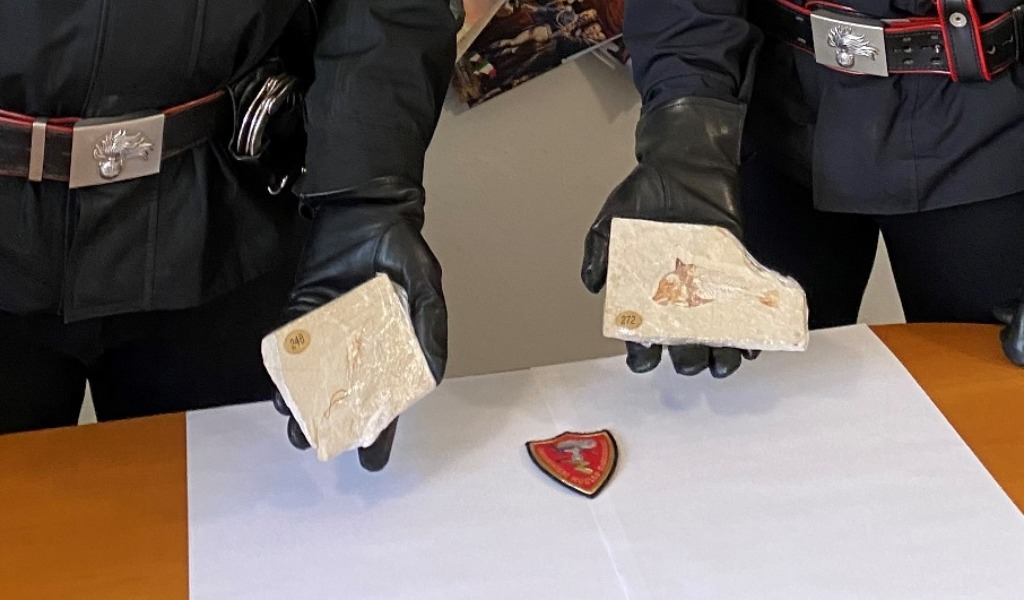 Trovato con fossili di dinosauro in auto, denunciato per ricettazione
