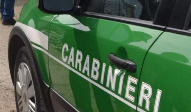 A Bressana, in area di pregio naturalistica, spunta una discarica abusiva