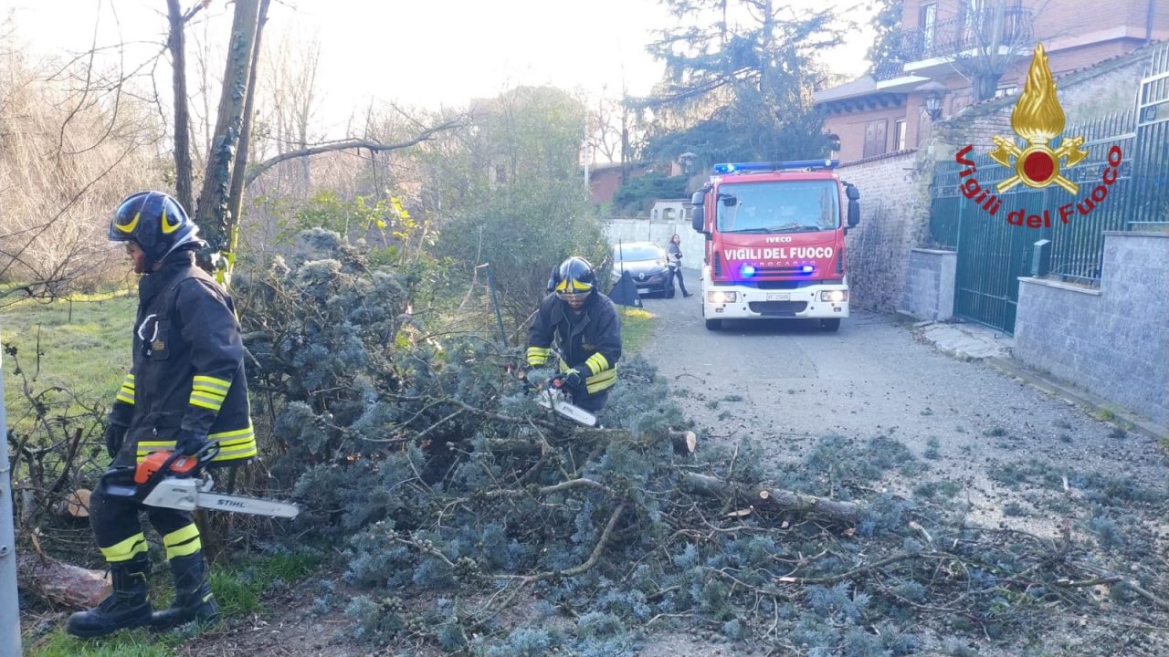 Vento forte, alberi caduti e rami pericolanti: intervengono i Vigili del Fuoco