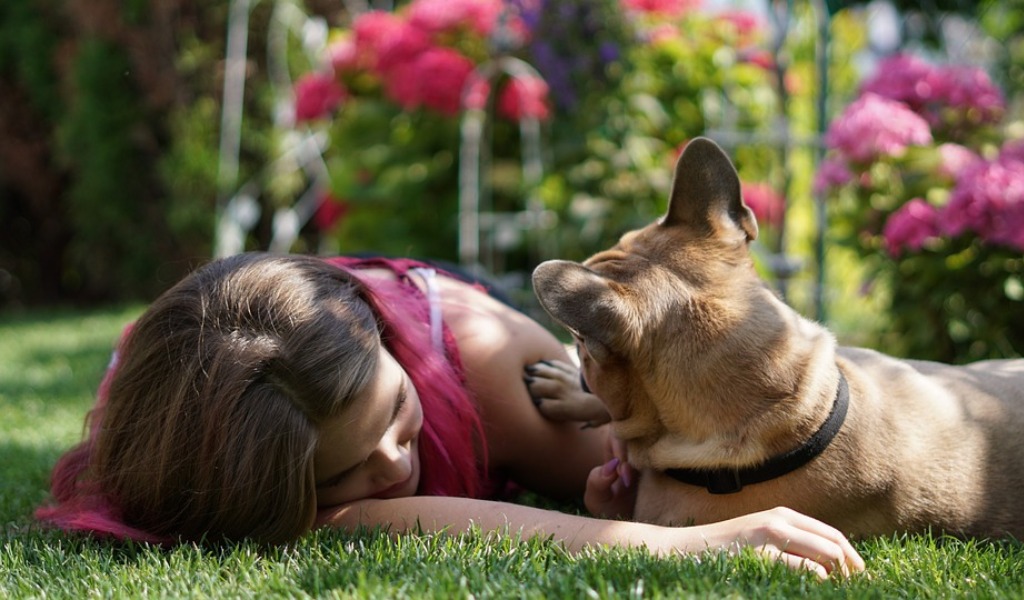 Coronavirus, il decalogo del padrone perfetto a spasso con Fido