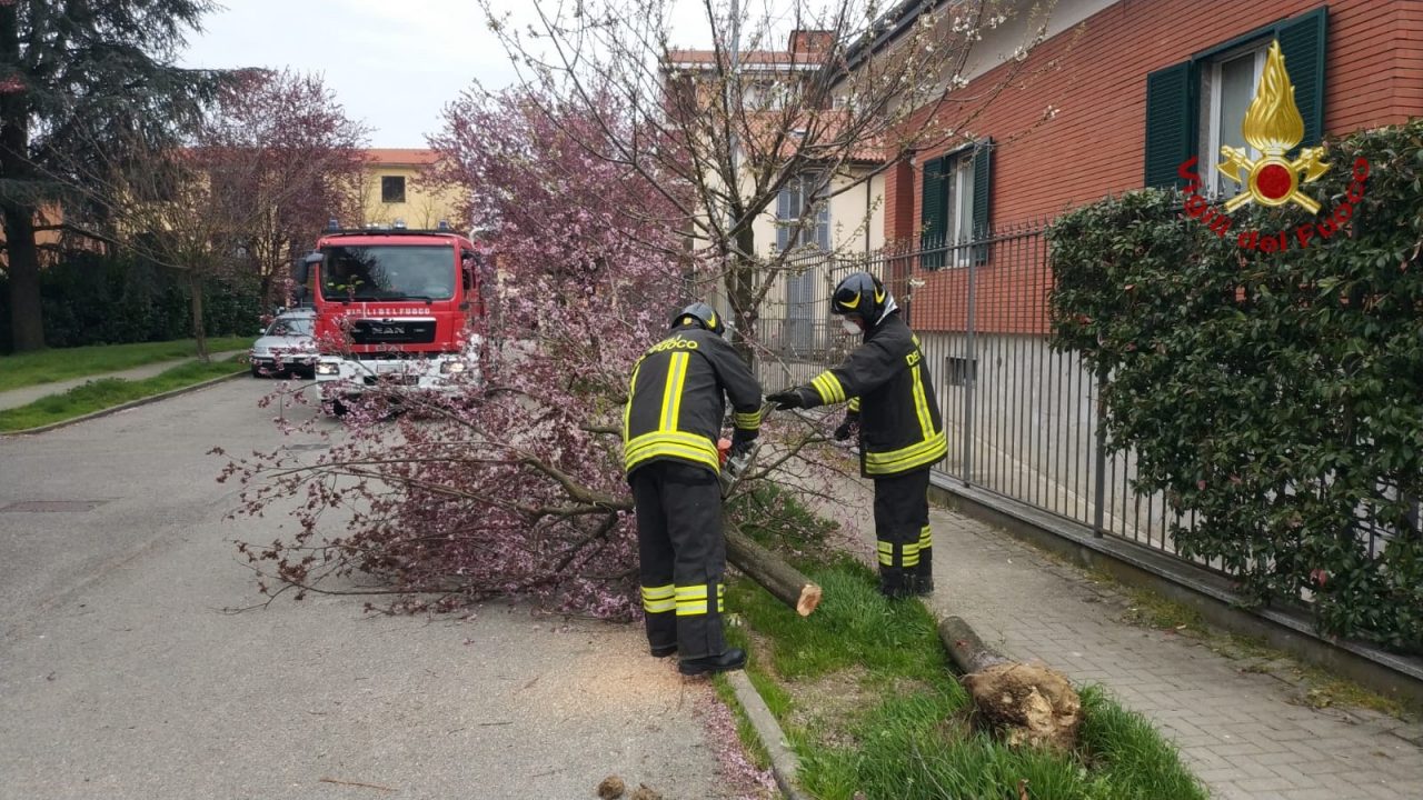 Forti venti freddi spazzano la provincia, diversi gli interventi dei Vigili del Fuoco