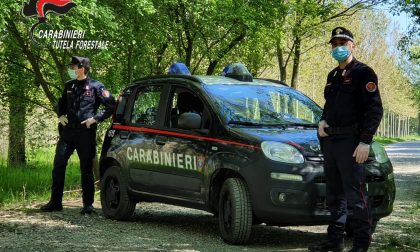 Pasqua 2020: controlli dei Carabinieri Forestali in Lombardia