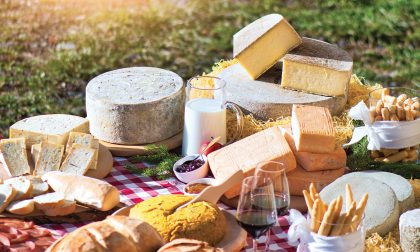 Strade del Vino e dei Sapori: 1.500 km tra prodotti unici