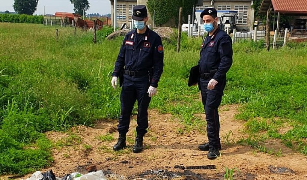 Irregolarità in azienda agricola: titolare denunciato e attività sospesa