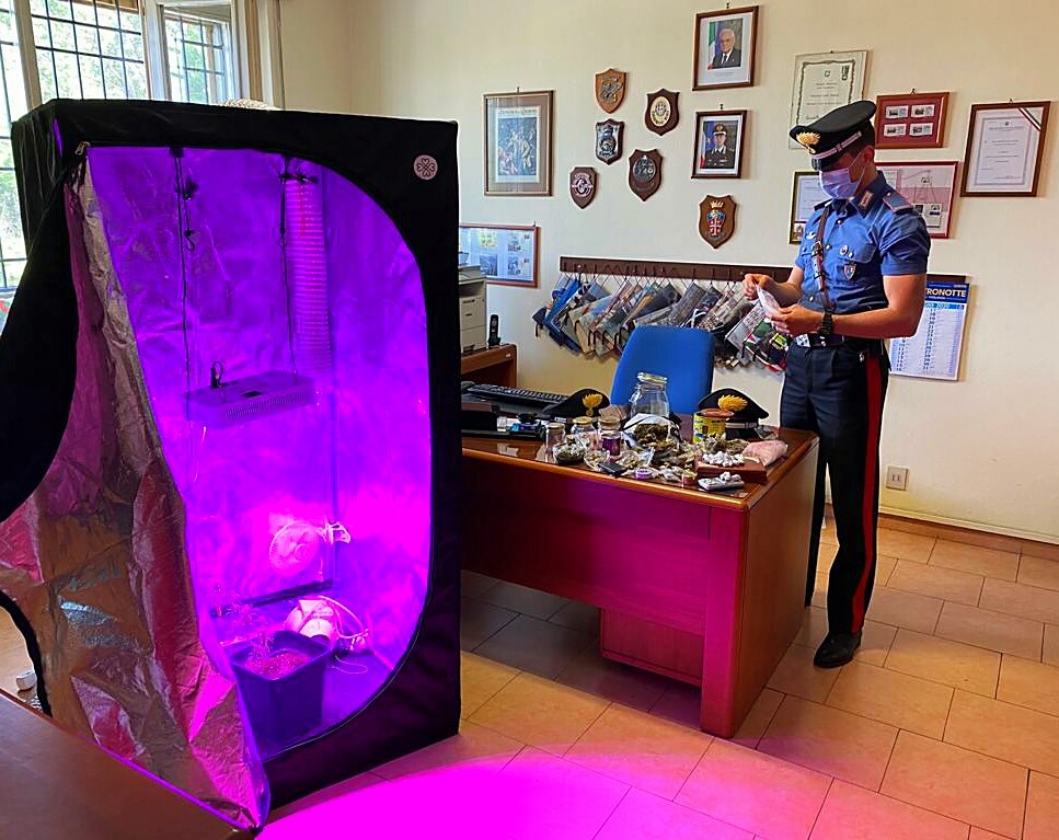 In casa ha una serra di marijuana: denunciato 25enne