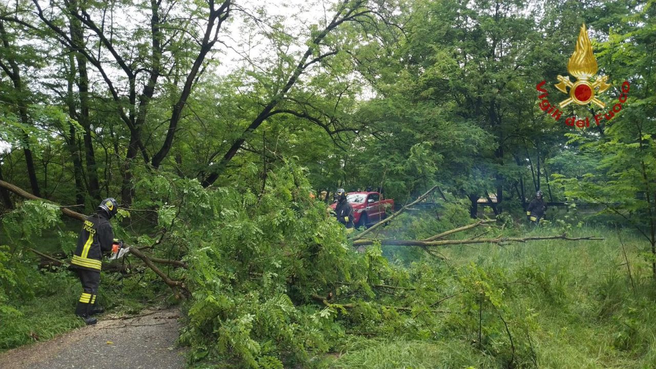 Maltempo nella notte: Strada Gardona ostruita dalla caduta di alberi