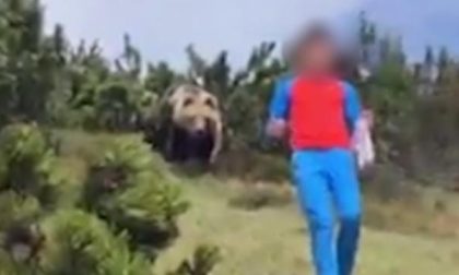 L'incredibile video del ragazzino trovatosi a tu per tu con l'orso