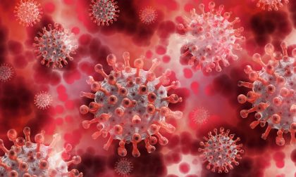 Coronavirus, 5.202 positivi: la situazione a Pavia e provincia lunedì 25 maggio 2020