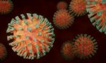 Coronavirus: triplicano i tamponi e anche (quasi) i nuovi casi. A Pavia 5.047 positivi (+25)