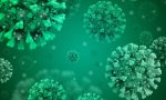 Coronavirus: aumenta ancora il numero dei guariti, a Pavia e provincia zero contagi