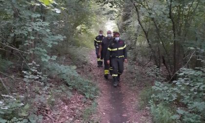 Si perde nei boschi mentre cerca funghi: la madre lancia l'allarme