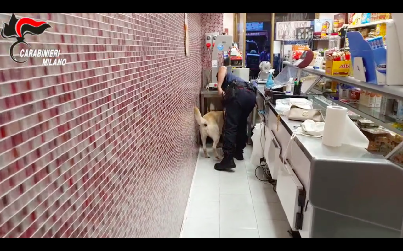 Macelleria trasformata in un bazar della droga: 12 arresti FOTO